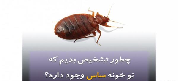عکس عكس بچه ساس