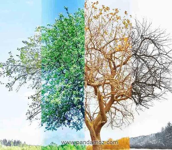 عکس بهار تابستان پاییز زمستان