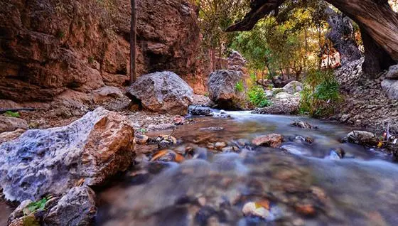 عکس طبیعت مشهد مقدس