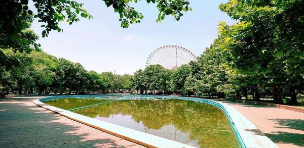 عکس طبیعت مشهد مقدس