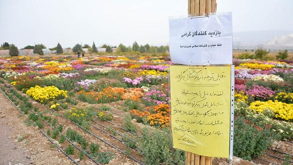 عکس گل های ایران