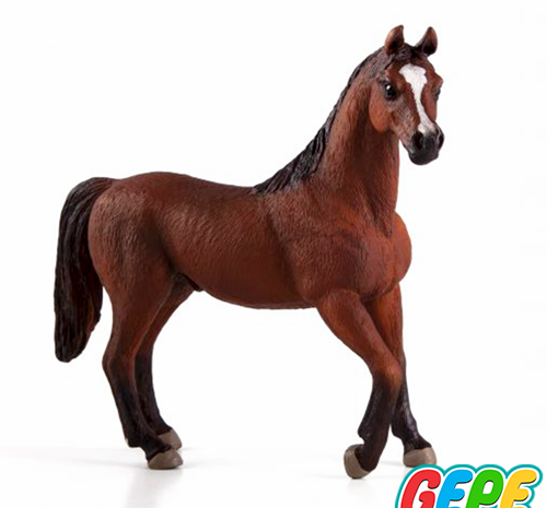 عکس اسب عربی قهوه ای