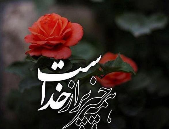 عکس پروفایل پسرانه با گل