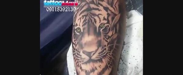 عکس تاتو ببر روی بازو