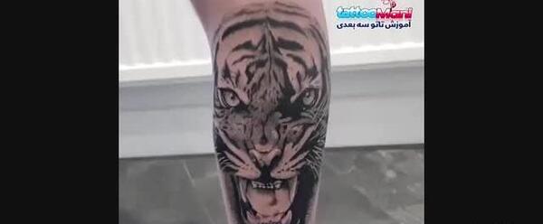 عکس تاتو ببر روی بازو