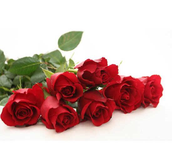 عکس گل و تبریک تولد