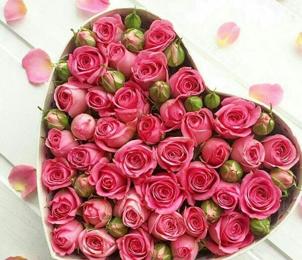 عکس گل و تبریک تولد