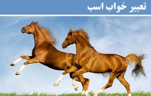 عکس اسب سفید و سیاه و قهوه ای