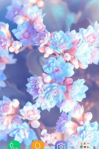 عکس تصویر زمینه صورتی عروسکی