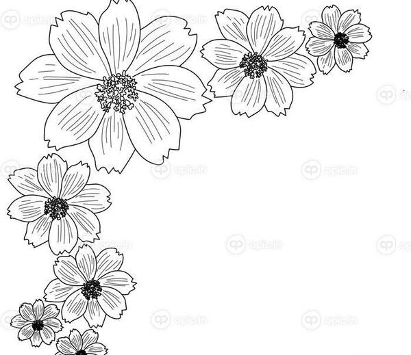 دانلود عکس حاشیه گل دار