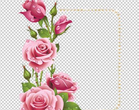 دانلود عکس حاشیه گل دار
