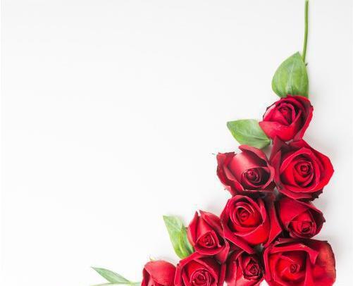 دانلود عکس حاشیه گل دار