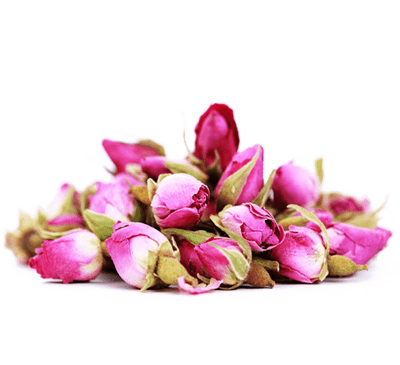 عکس گل محمدی صد برگ