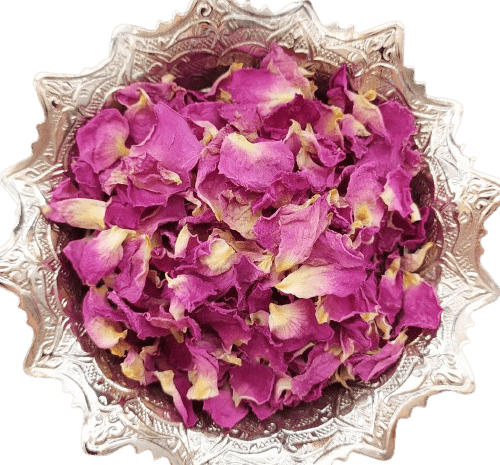 عکس گل محمدی صد برگ