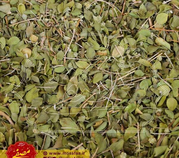 عکس از آویشن خشک