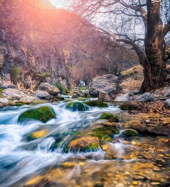 عکس طبیعت بکر و زیبا