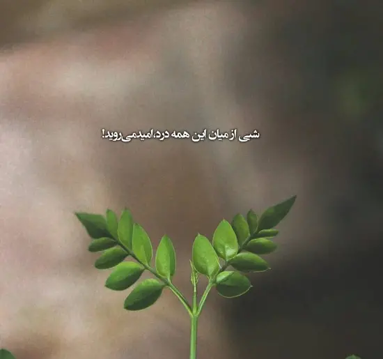 عکس برای پروفایل خدایا کمکم کن