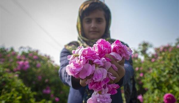 عکس تینا گل محمدی