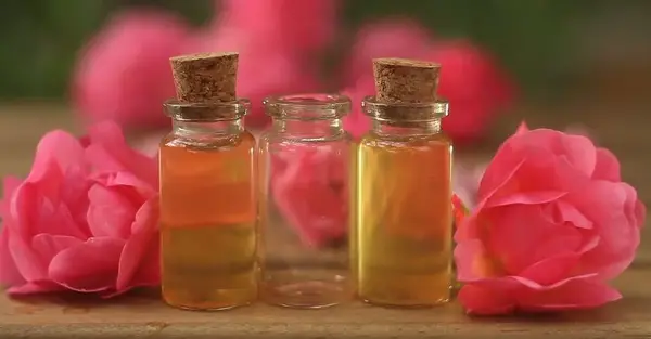 عکس تینا گل محمدی
