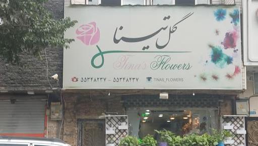 عکس تینا گل محمدی