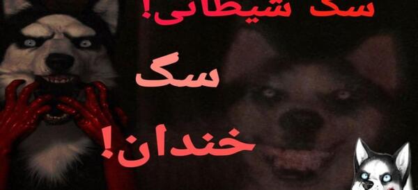 عکس ترسناک سگ خندان