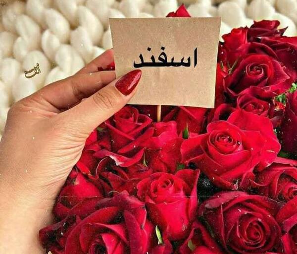 متن و عکس تبریک تولد اسفند ماهی
