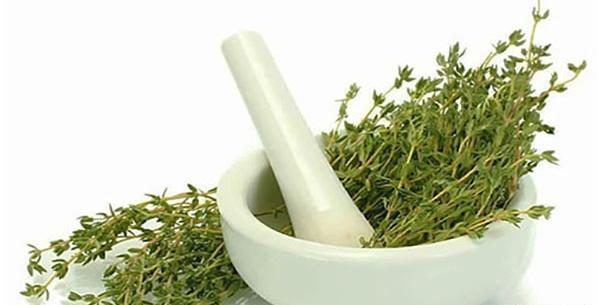 عکس گیاهان دارویی آویشن