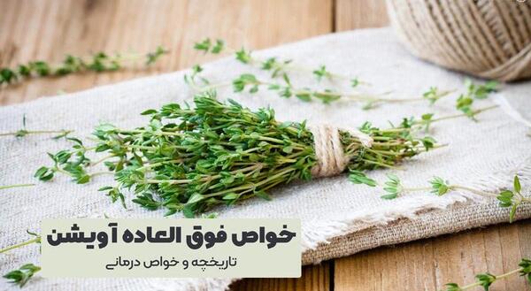 عکس گیاهان دارویی آویشن