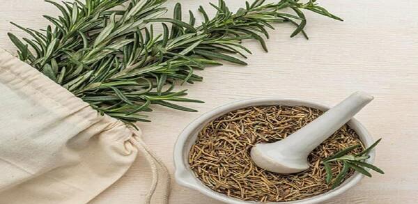 عکس گیاهان دارویی آویشن