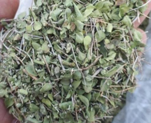 عکس گیاهان دارویی آویشن