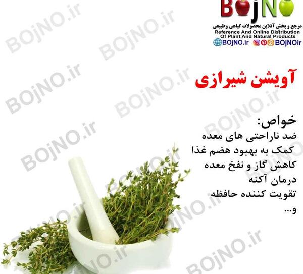 عکس گیاهان دارویی آویشن