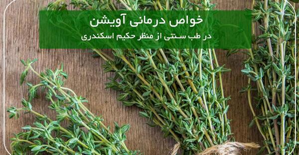 عکس گیاهان دارویی آویشن