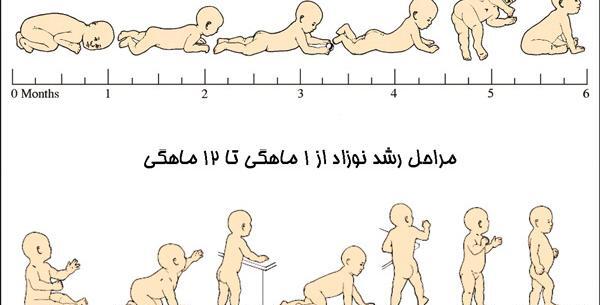 عکس العمل بچه چهار ماهه