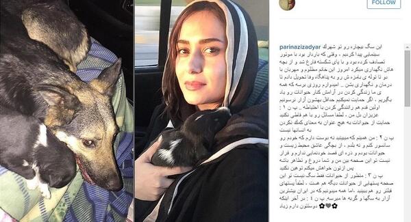 عکس حیوانات بازیگران ایرانی