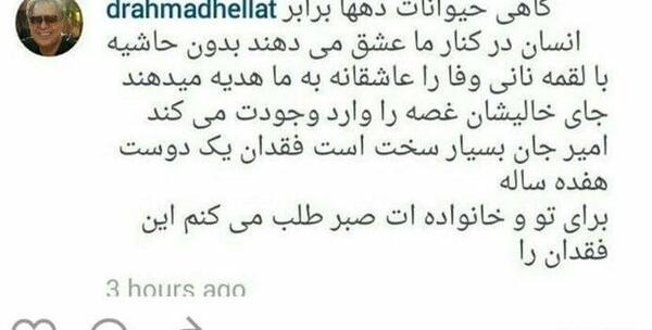 عکس حیوانات بازیگران ایرانی