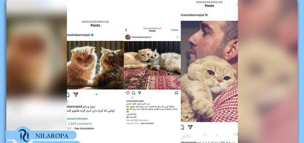 عکس حیوانات بازیگران ایرانی