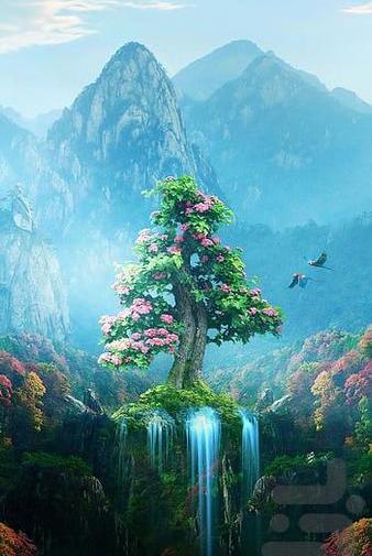 عکس برای تصویر زمینه جنگل