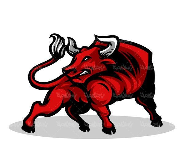 عکس بچه گاو وحشی