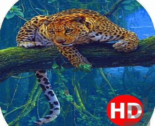 عکس پلنگ برای تصویر زمینه گوشی سامسونگ