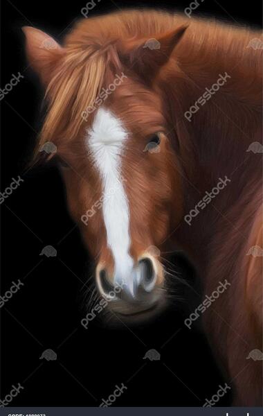 عکس صورت اسب برای نقاشی