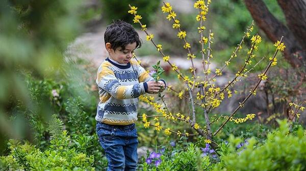 عکسهای طبیعت بهاری شیراز