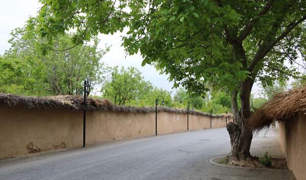 عکسهای طبیعت بهاری شیراز