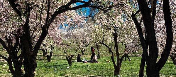 عکسهای طبیعت بهاری شیراز