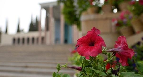 عکسهای طبیعت بهاری شیراز