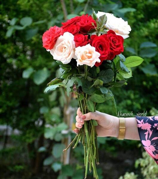 گل عاشقانه عکس طبیعت زیبا