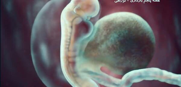 عکس بچه سقط شده یک هفته