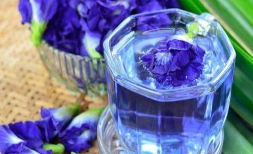 عکس گل گاوزبان زنجان