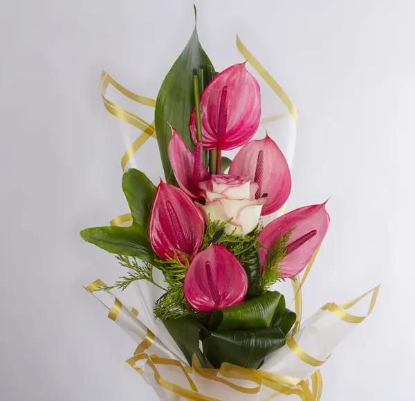 عکس از گل آنتوریوم