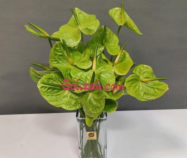 عکس از گل آنتوریوم