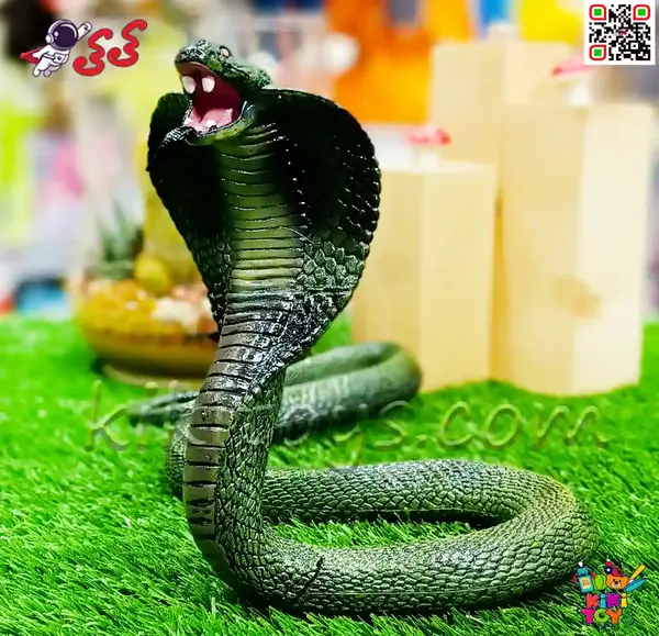 عکس بچه مار کبرا